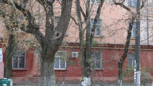 Херсон, ул. Пугачева, 5 смотреть онлайн