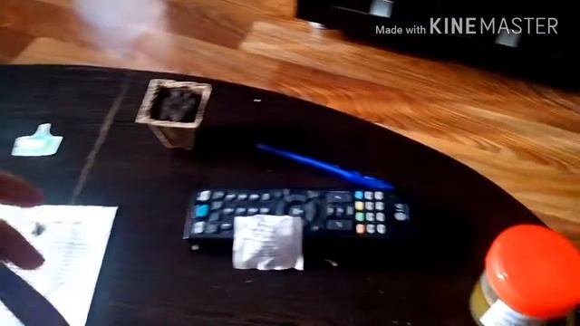 Сажаем томат и шпинат смотреть онлайн