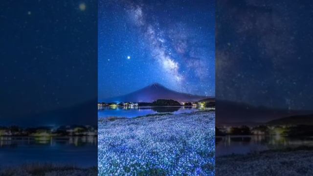 Намасте, Казбэк, намасте. (из чата) смотреть онлайн