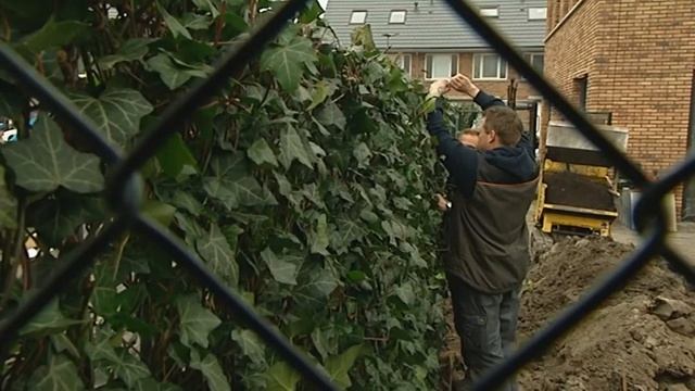 Kant & Klaar Haag - Rob's Grote Tuinverbouwing