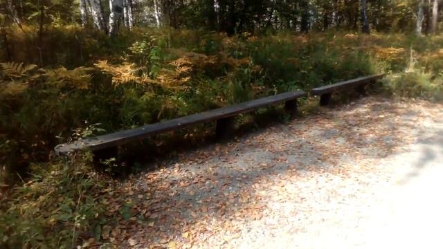 Влог #3, в пещере#2 смотреть онлайн