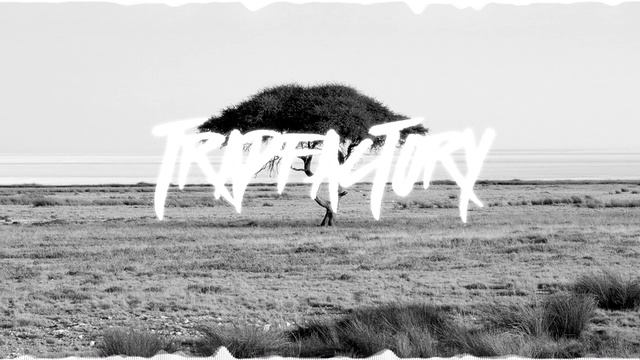 The lion king - Hakuna matata (RemixManiacs trap remix) смотреть онлайн