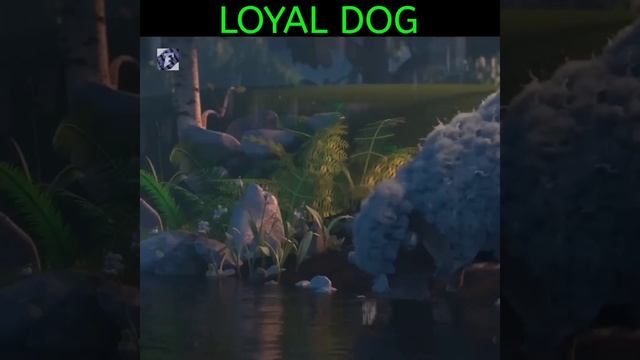 Sad story of a faithful dog 🥺😭|Animated short film| #shorts | By - FacTcage смотреть онлайн