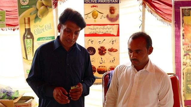 National Olive Day 2022 | Pakistani Olive Products | Organic Products смотреть онлайн
