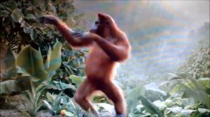 Orangutan Dancing
