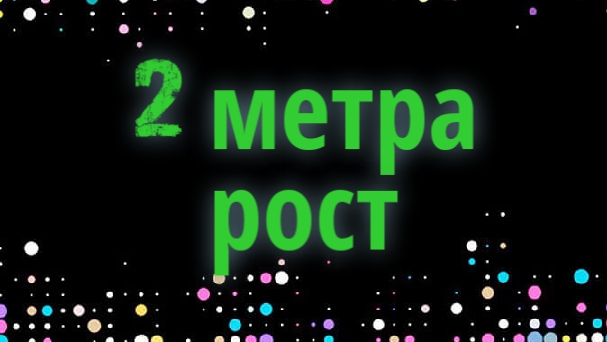 2 метра рост🤩🤩🤩 смотреть онлайн