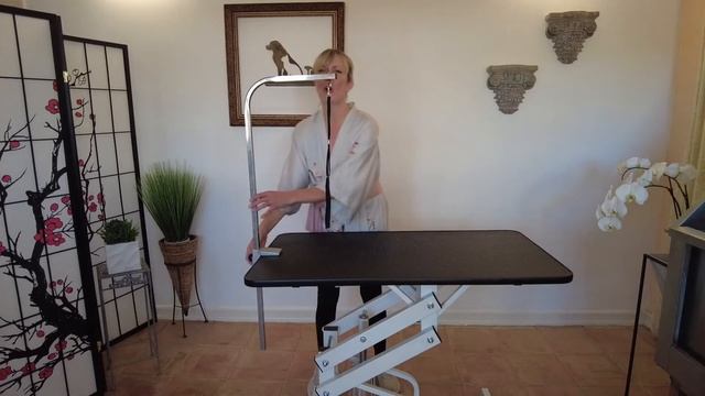 Grooming Tables - Gina's Grooming - Why Groomers Use Them And Why You Should Too!