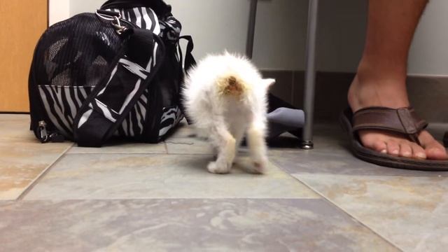 Little Freya смотреть онлайн
