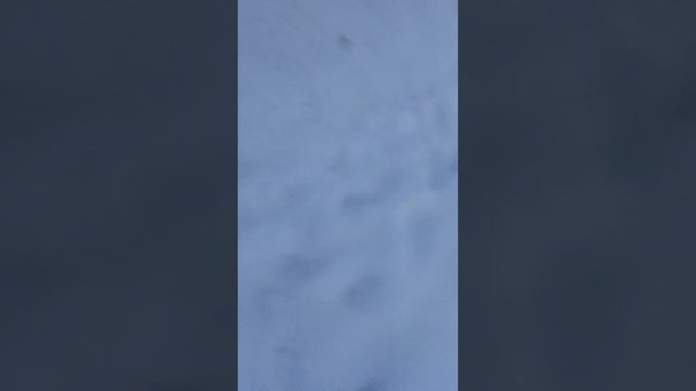 короче говоря иду домой (от 1 лица) смотреть онлайн