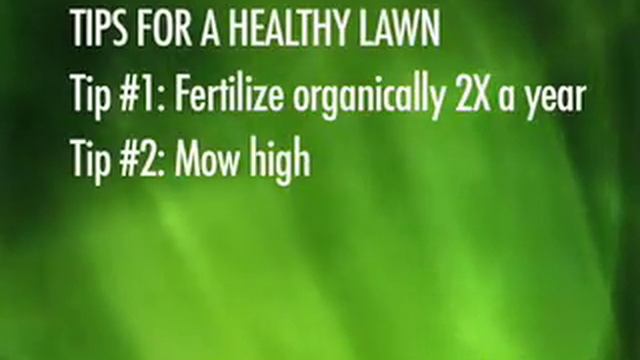 Lawn Control смотреть онлайн