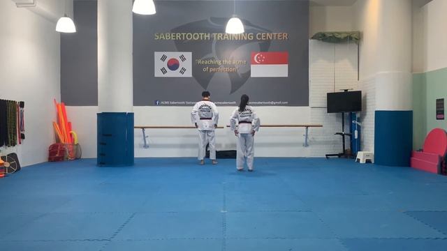 The Best of Indonesia Changmookwan International - Erica Lee and Sabien Aw - Taegeuk 4 & 6 смотреть онлайн