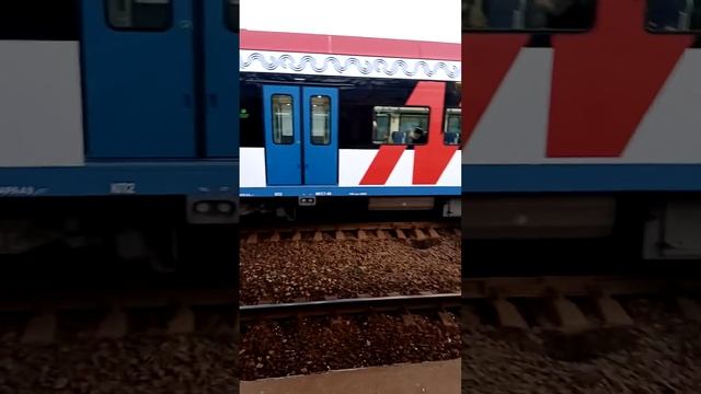электропоезд ЭГ2ТВ 006