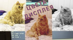 Цвета дисплея. Fanuc. Параметры 24361, 6580 - 6595.