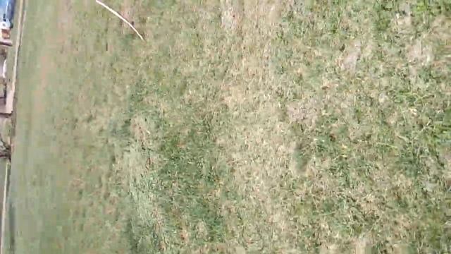 Лёгкие финты обучение смотреть онлайн