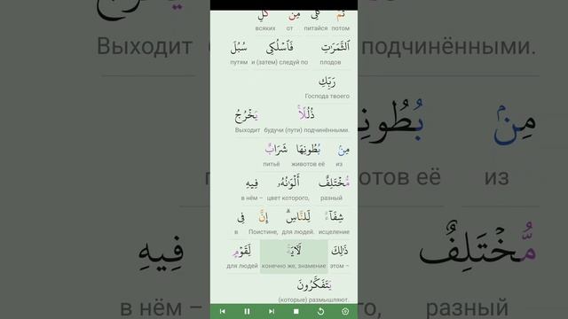 RU Коран Сура Аль Нахл (16 Пчелы/худой/склонение/компромисс/решение/склонение/дозволенность) смотреть онлайн