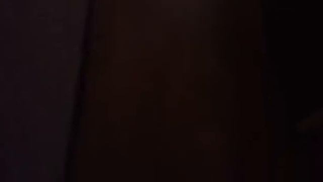 Любимое занятие моего кота смотреть онлайн