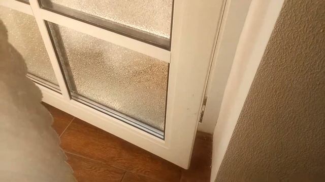 Kitty Play/ Котёнок играет