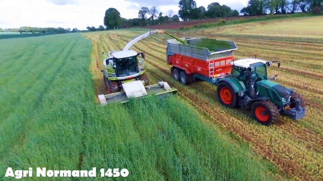 🇨🇵|ETA Quentin en action|🌿Claas Jaguar 950 à l’ensilage de seigle en coupe direct🌾 смотреть онлайн