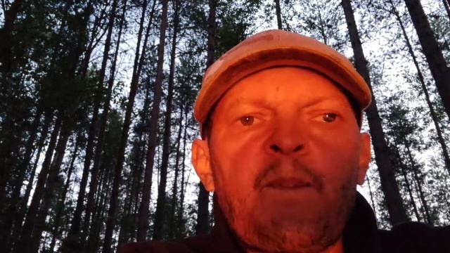 29 Посиделки у костра. Прощальный костёр. смотреть онлайн