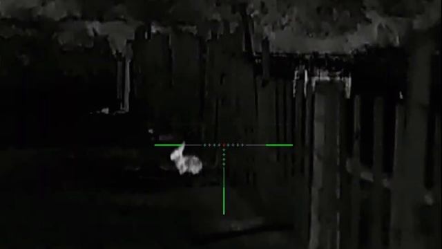 17hmr Rabbit Hunting, Sytong Am03-50lrf Thermal Scope