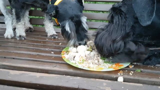 4 августа 2024 г. смотреть онлайн