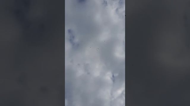 13 июля 2022 г. смотреть онлайн