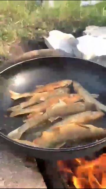 Очень вкусная рыба 🐠🐋🐟 смотреть онлайн