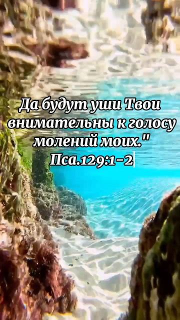 Глубина познания Христа не имеет границ... смотреть онлайн