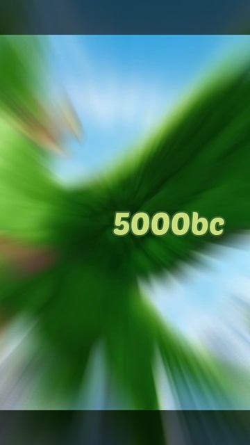 2023 green parrot🦜 5000bce green parrot🦜 #viral #trending #youtubeshorts смотреть онлайн