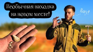 РЕДКИЕ ИСКОПАЕМЫЕ Каменноугольного периода Подмосковья! Поиск окаменелостей в новом для меня месте!