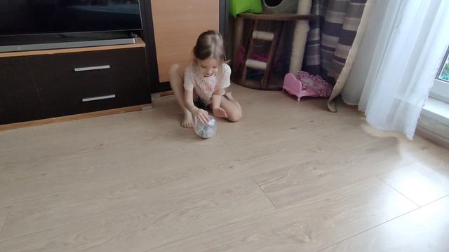хомяк Джерри бегает в шаре смотреть онлайн