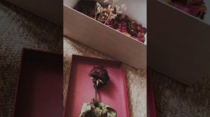 KARAKESEK- КУРАГАН ГУЛ,   АППАГЫМ