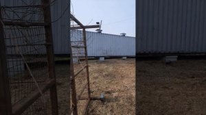 Кормушка для КРС под рулоны.