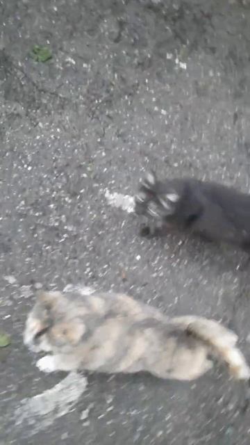 Самые красивые попы смотреть онлайн