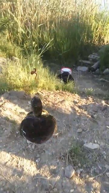 В Анапе рыбалка смотреть онлайн