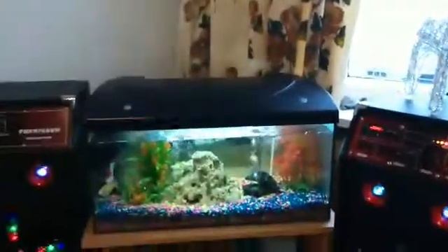 IMG 3299 смотреть онлайн