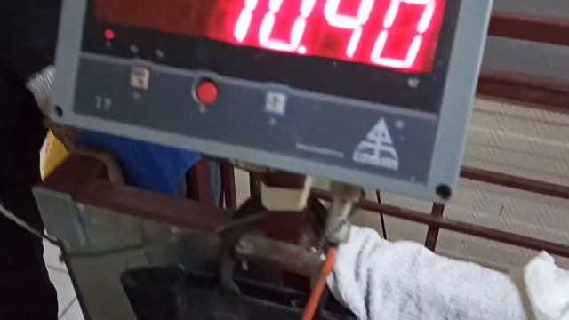 Мика щен вес