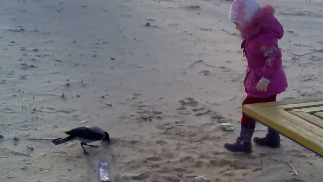 Нахальная ворона смотреть онлайн