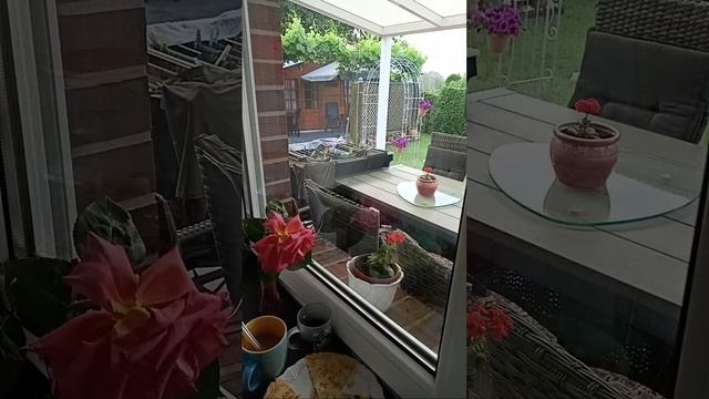 День за днём у Марины überträgt einen Livestream. смотреть онлайн