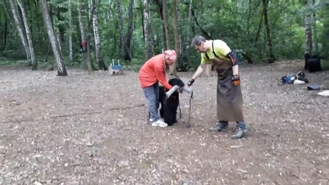 Цера, начало защиты, 05.07.2020 смотреть онлайн