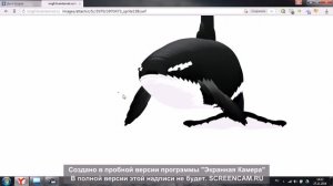 Танцующия Касатка