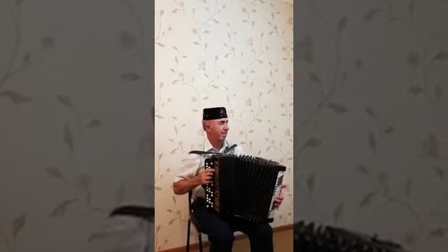 Эле дэ син бар эле доньяда.Яхъя Фасхиев смотреть онлайн