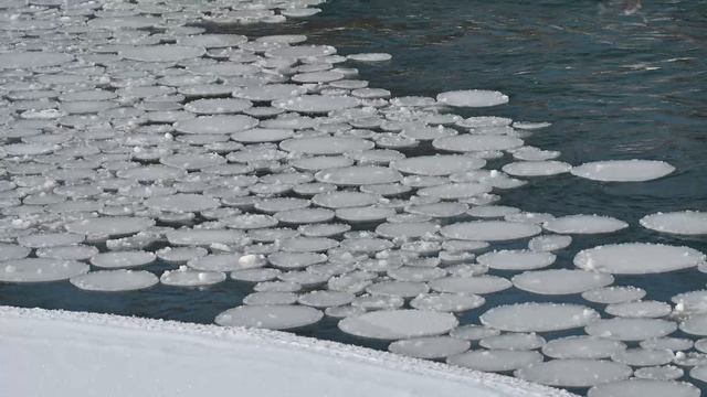 Ледяные круги смотреть онлайн