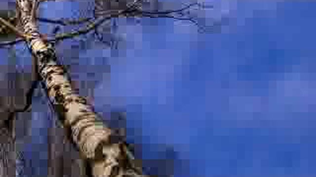 Журавлина Сотня ... смотреть онлайн