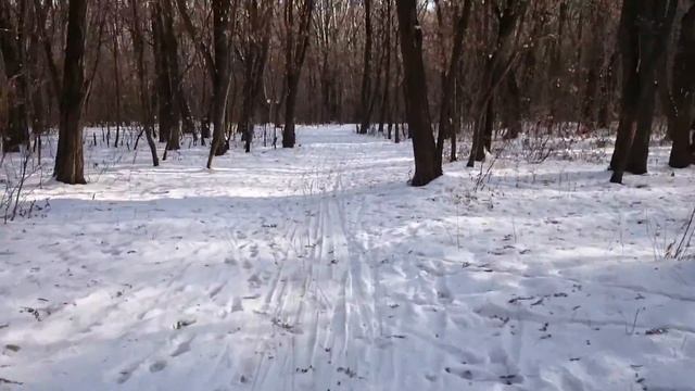 Сырецкий Парк. Состояние трассы на 13.12.14 смотреть онлайн