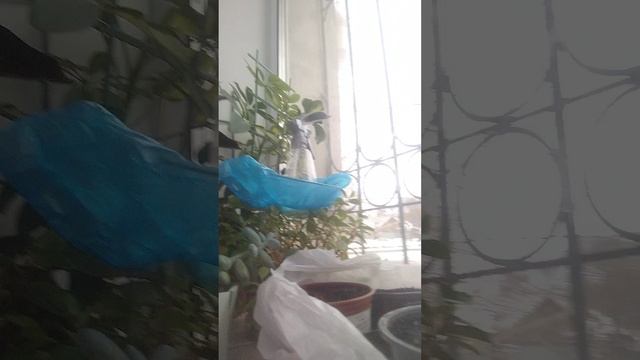 1000147151.mp4 смотреть онлайн