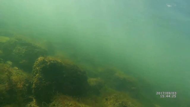 Первая проба...