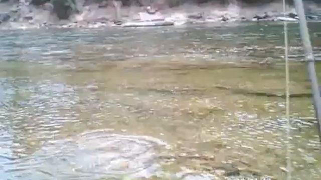 Fly Fishing.flv смотреть онлайн
