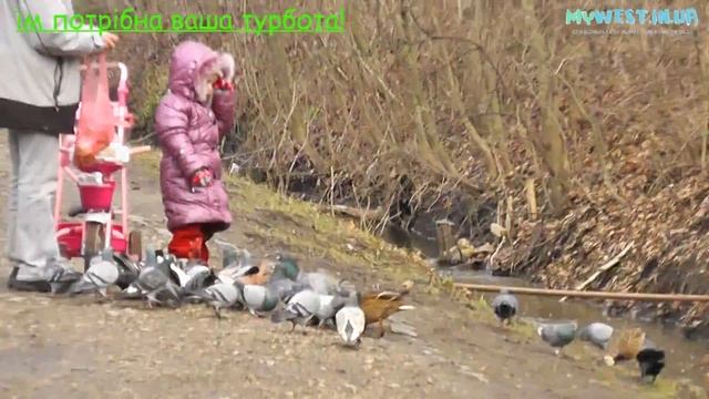Зоокуток. Тернопіль 31.12.2011