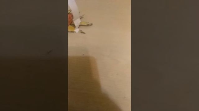 редкий напиток от чупа-чупс смотреть онлайн